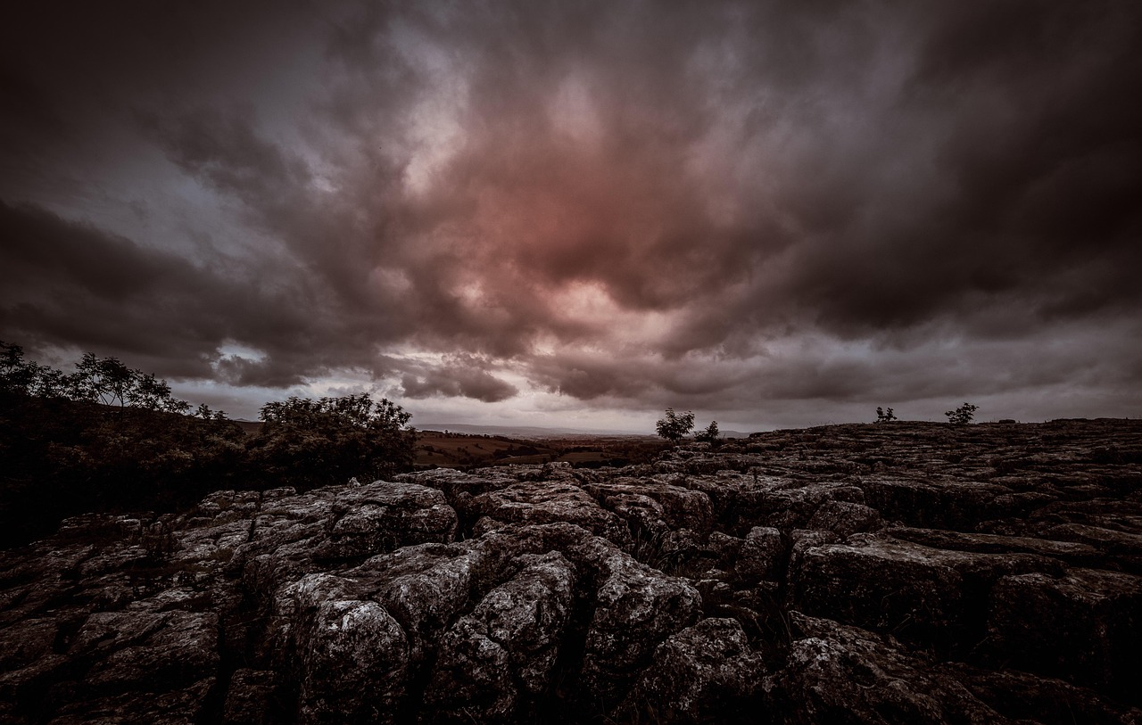 行业资讯 第29页