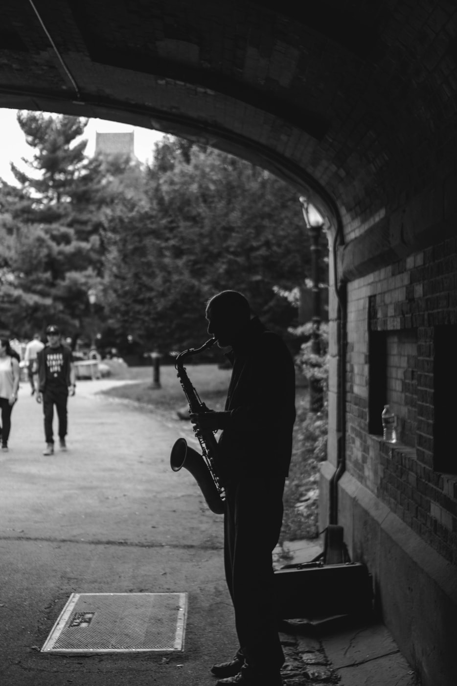 南浔光明中央公园最新资讯,城市绿肺的动态更新