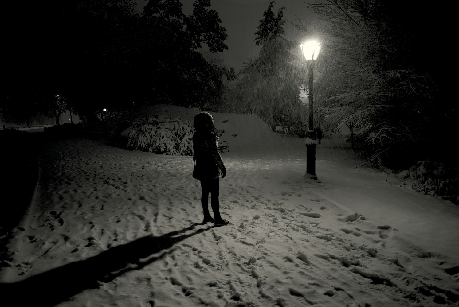 南浔光明中央公园最新资讯,城市绿肺的动态更新