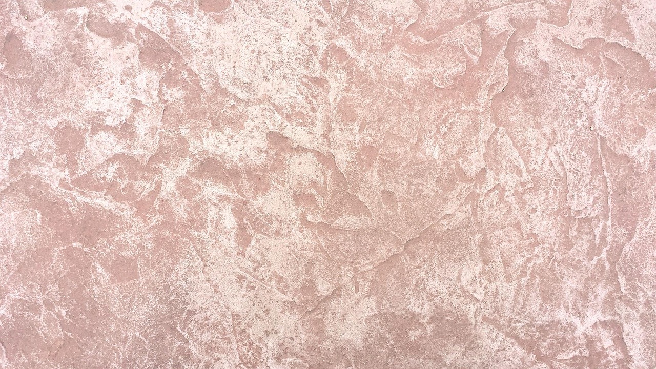 吴先生最新动态揭秘,成功背后的故事浮出水面