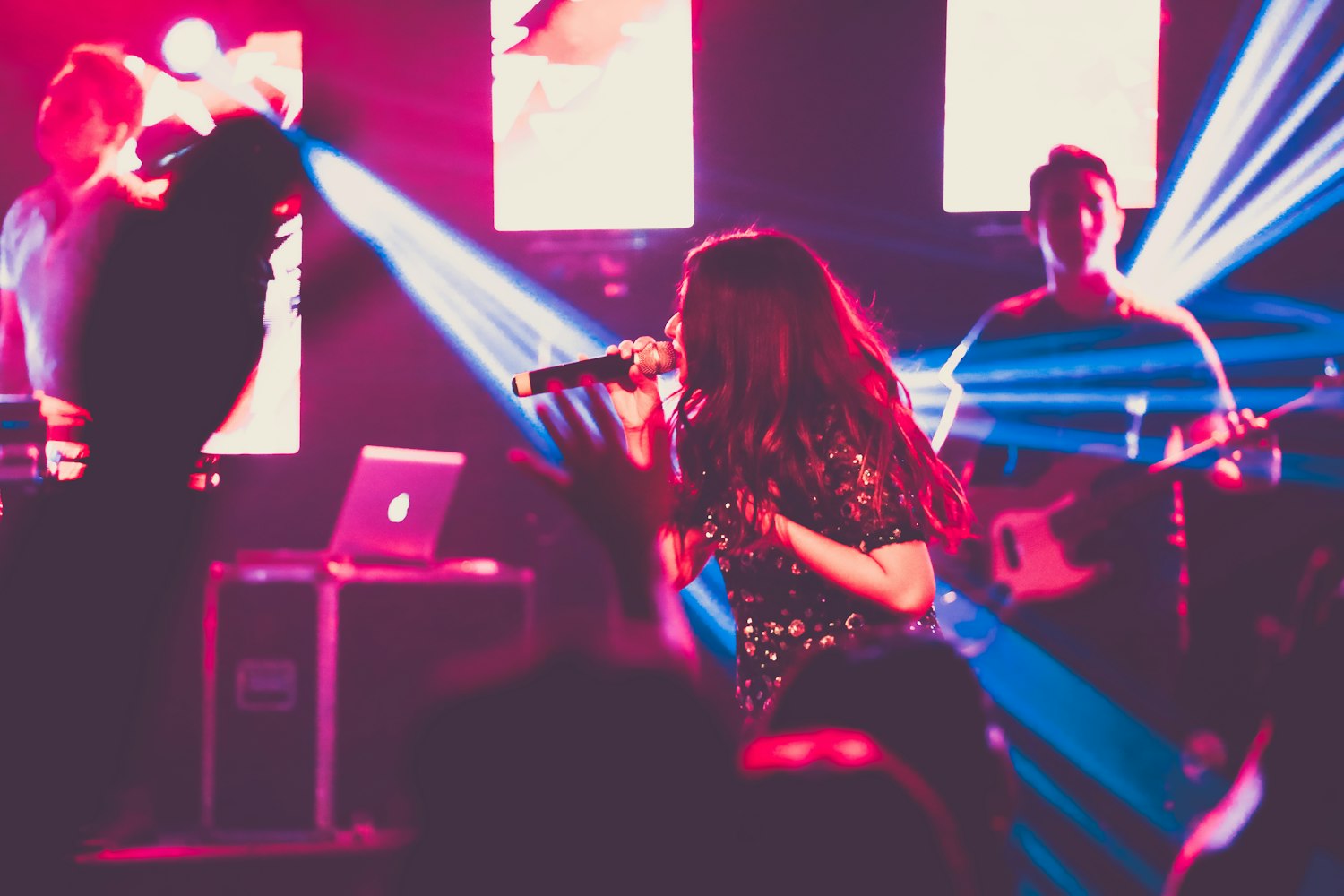 春天舞台上的璀璨星辰,演员表概览