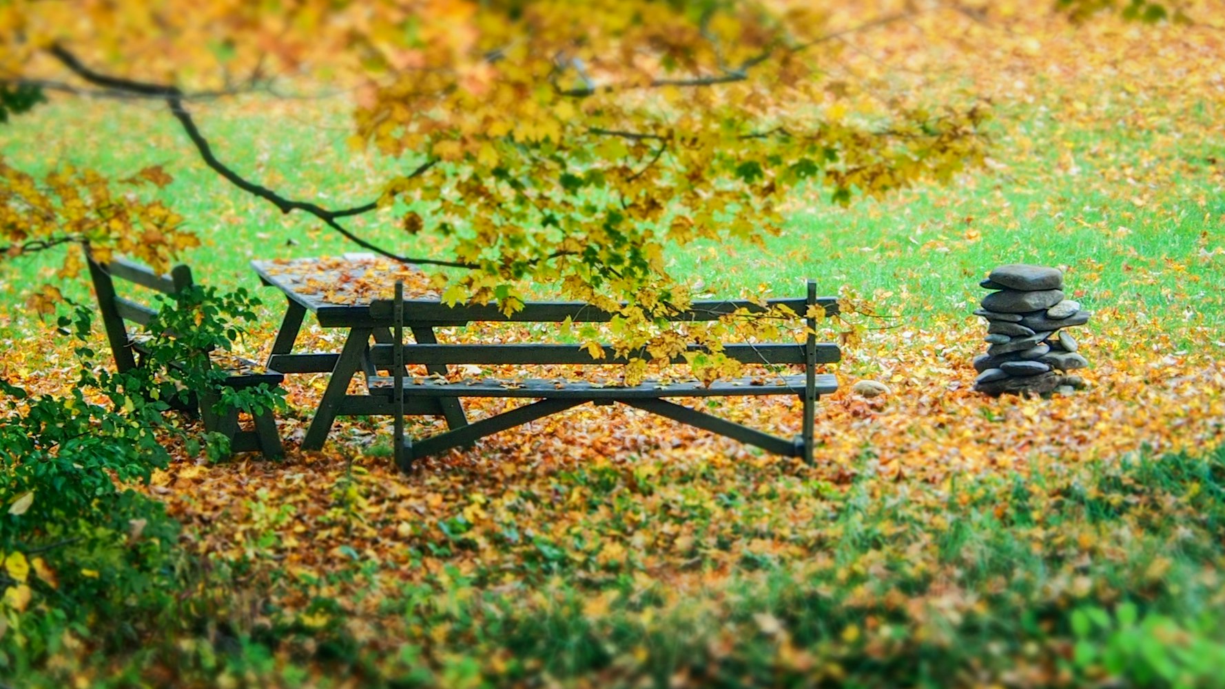 榨菜上市,从田间到餐桌的蜕变之旅
