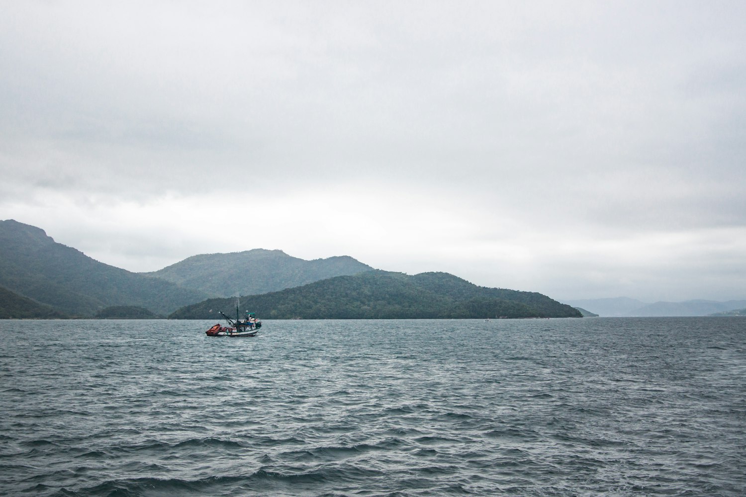 三本先生最新垂钓视频,探索垂钓新乐趣