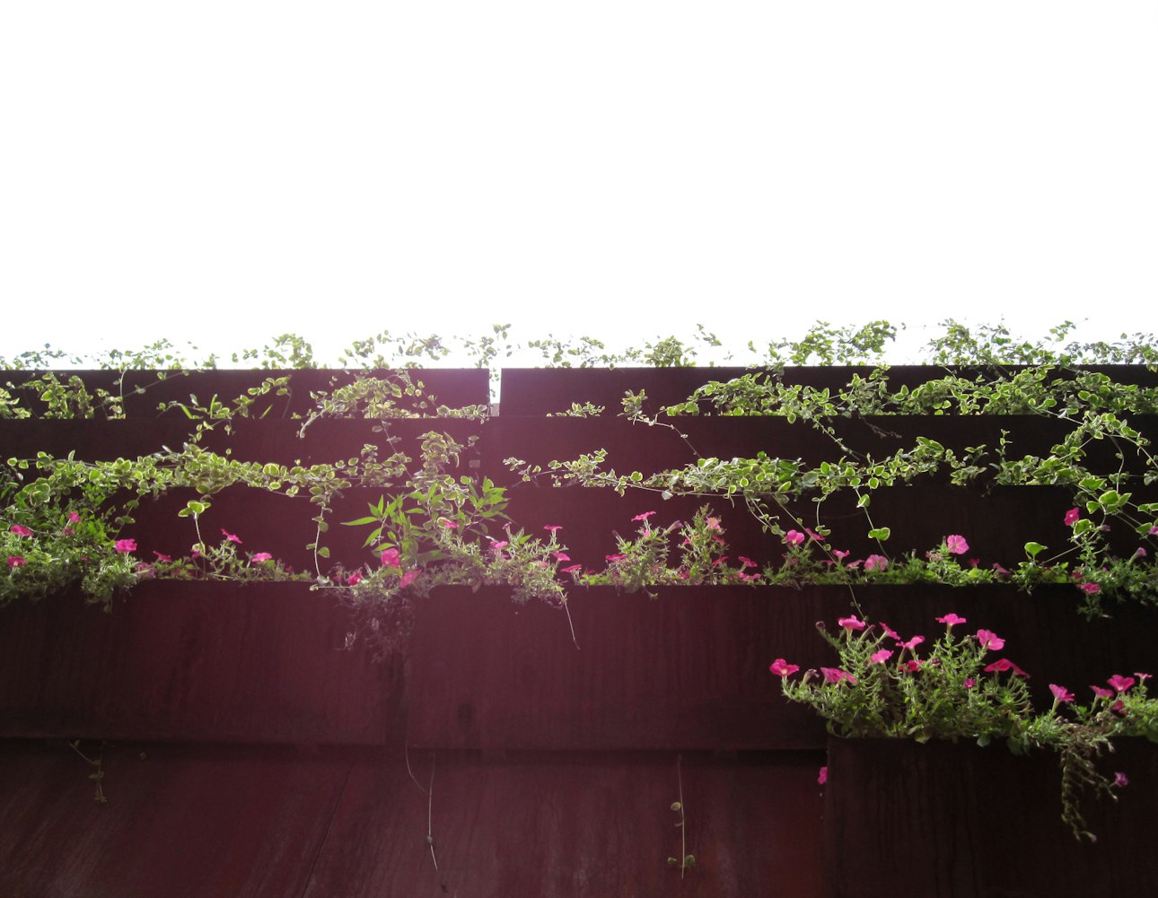 上海凯宝股票实时动态及分析