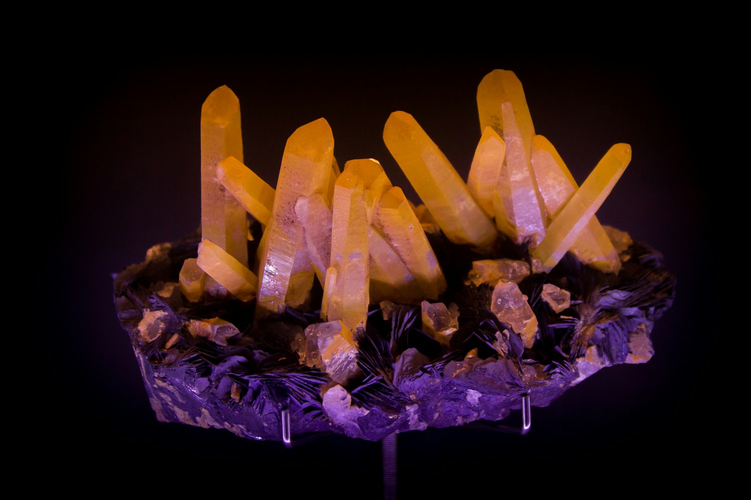 麻城动态资讯,把握城市发展脉搏,展现城市活力