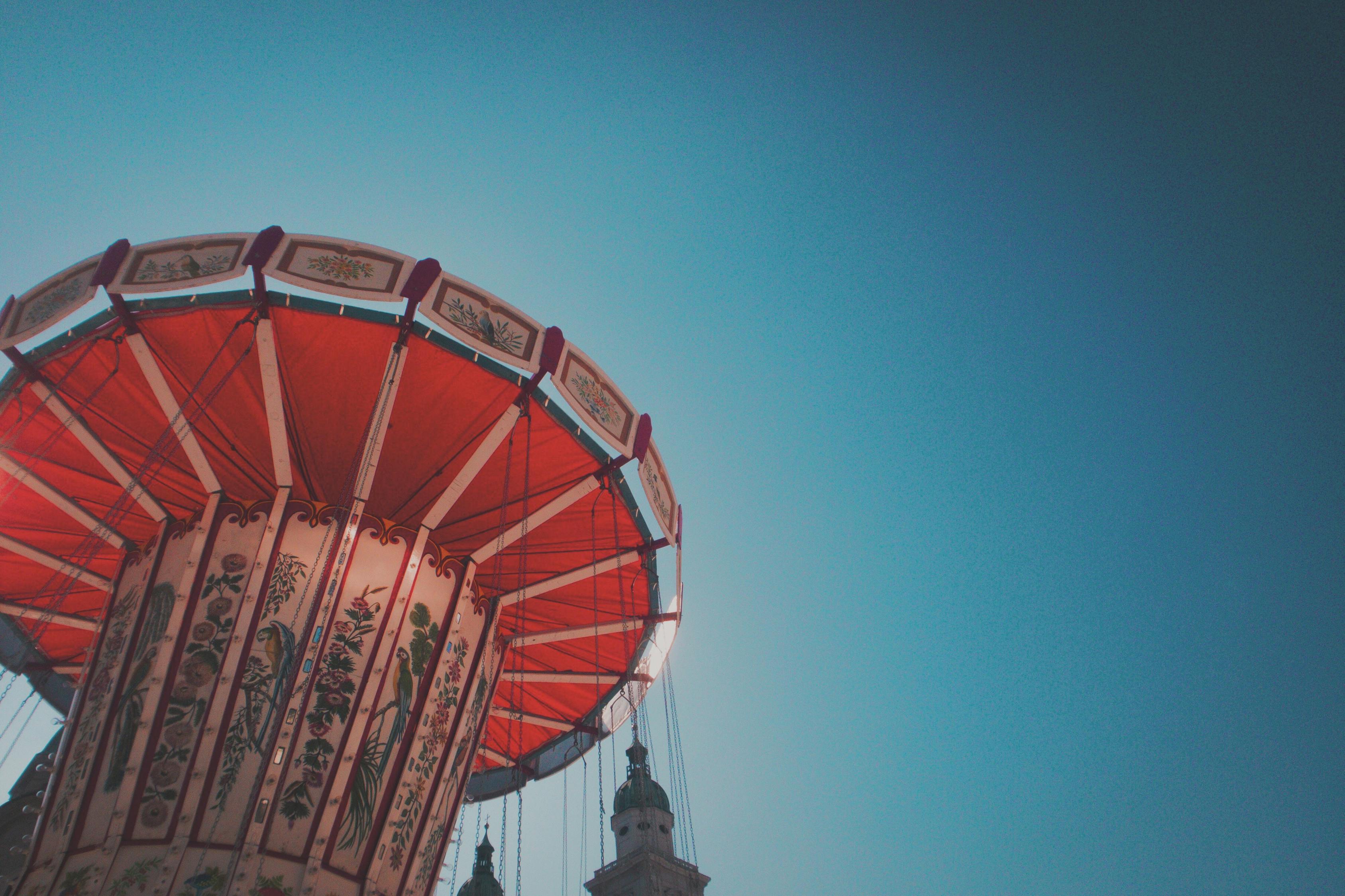 最新莴笋价格动态与市场分析概览