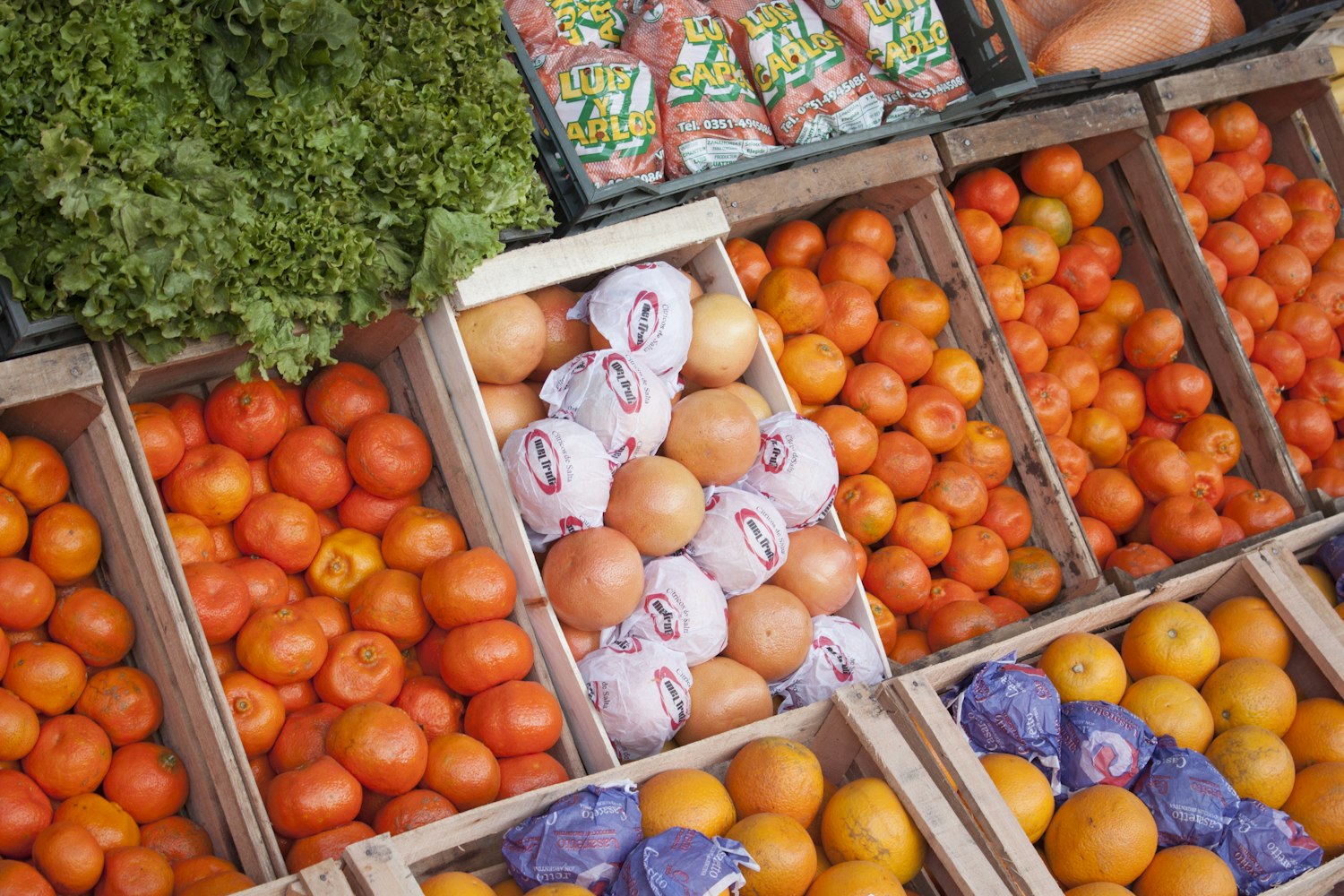 最新莴笋价格动态与市场分析概览