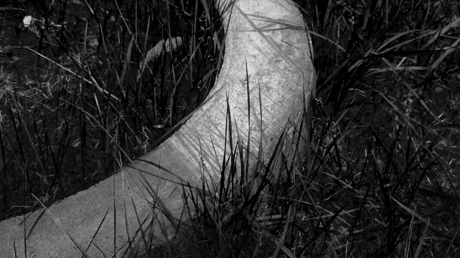 动漫素描画中的女生魅力展现