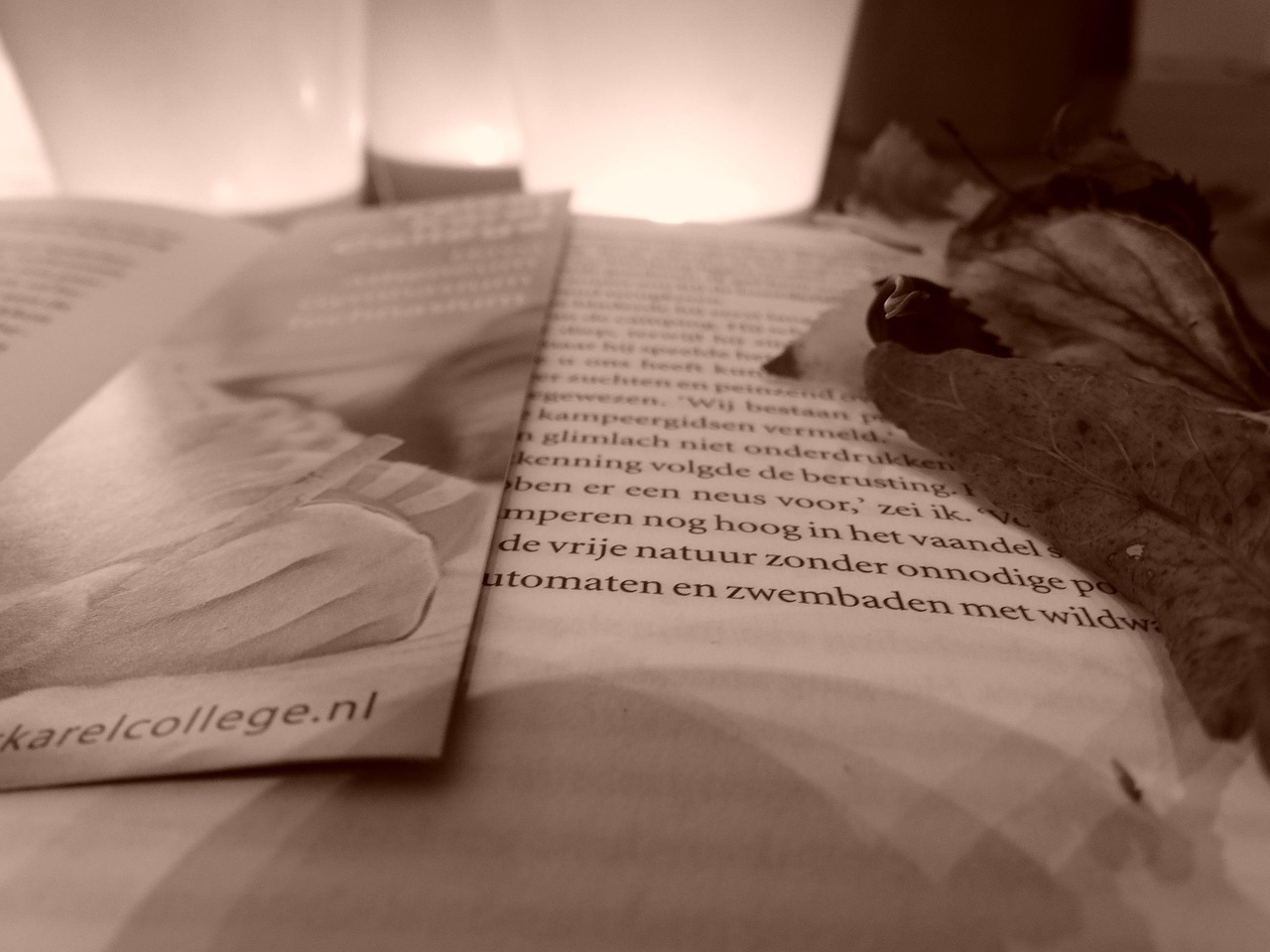 最新小说出版,探索文学的新疆界