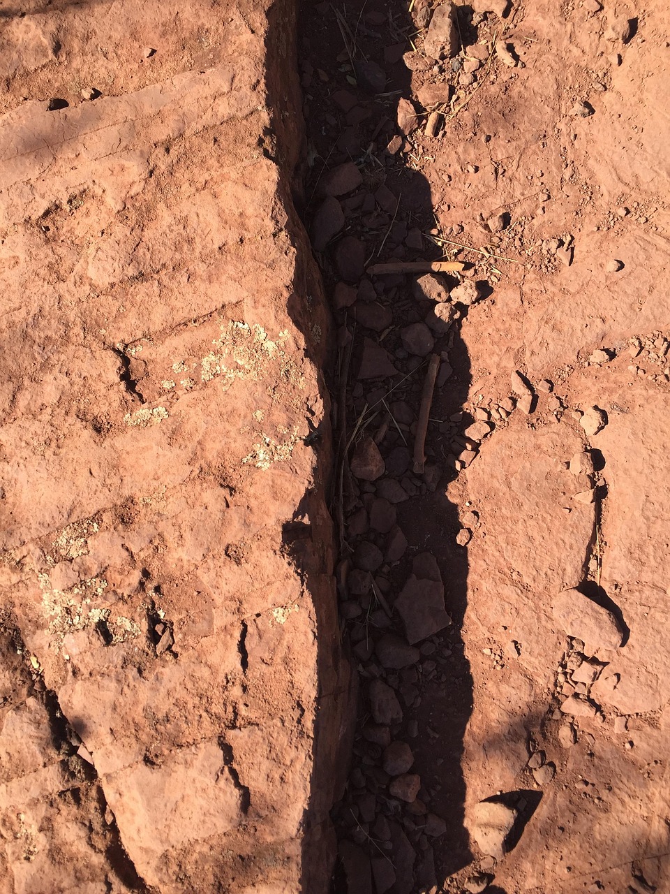 青行灯最新动态,探索未来无限可能