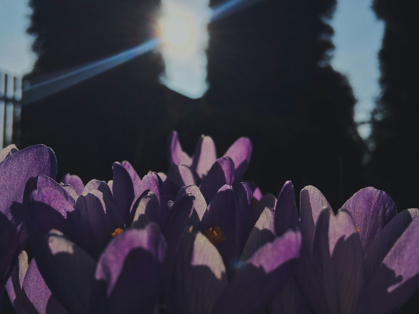 光影魅力与情感交织尽在阳光电影天堂