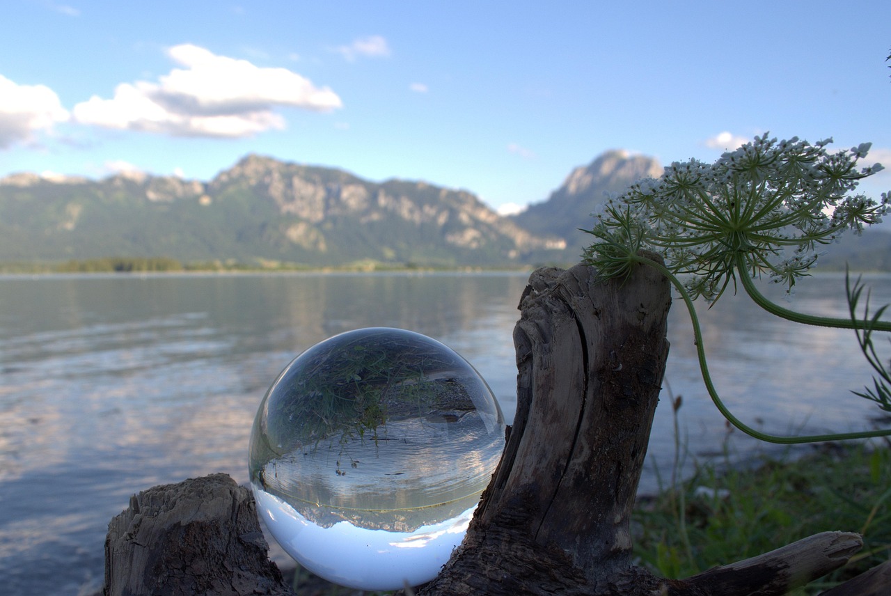 全球职业拳击最新动态,热血激战与未来展望