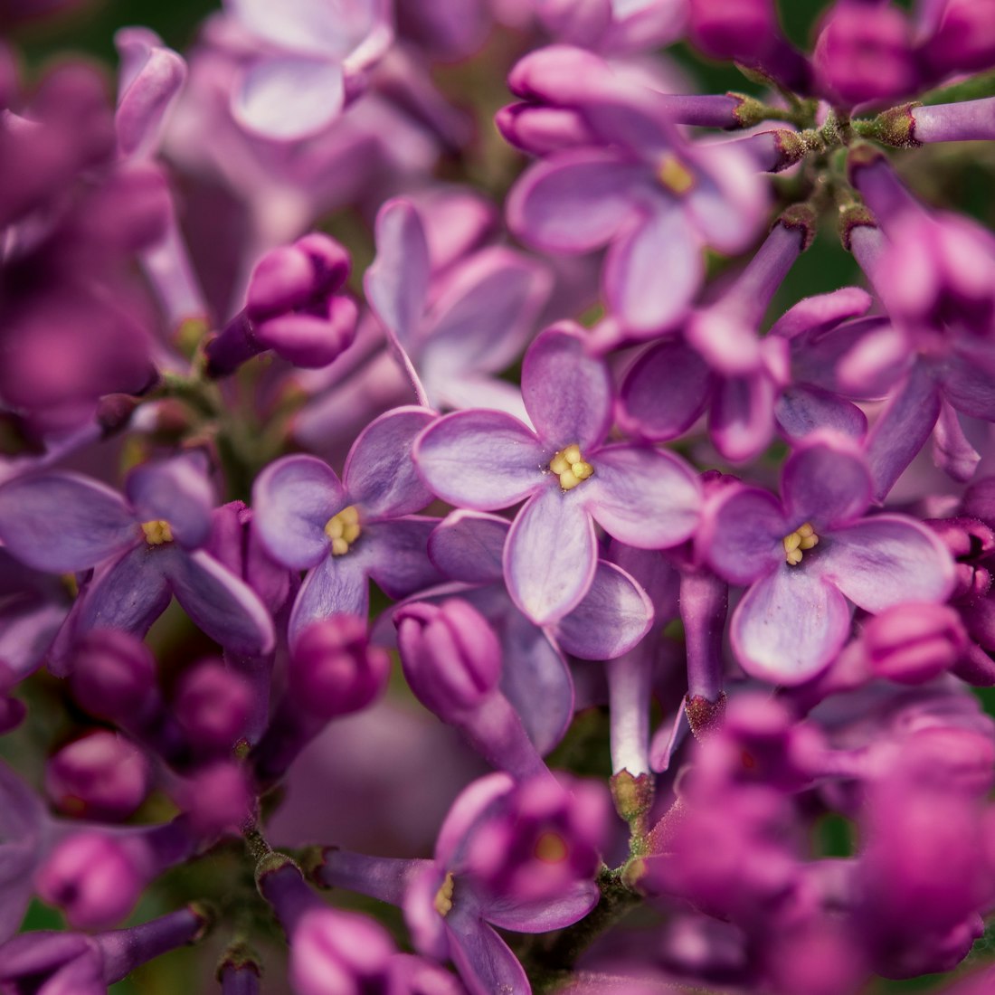 电影资讯速递,探索影视前沿,洞悉行业动态
