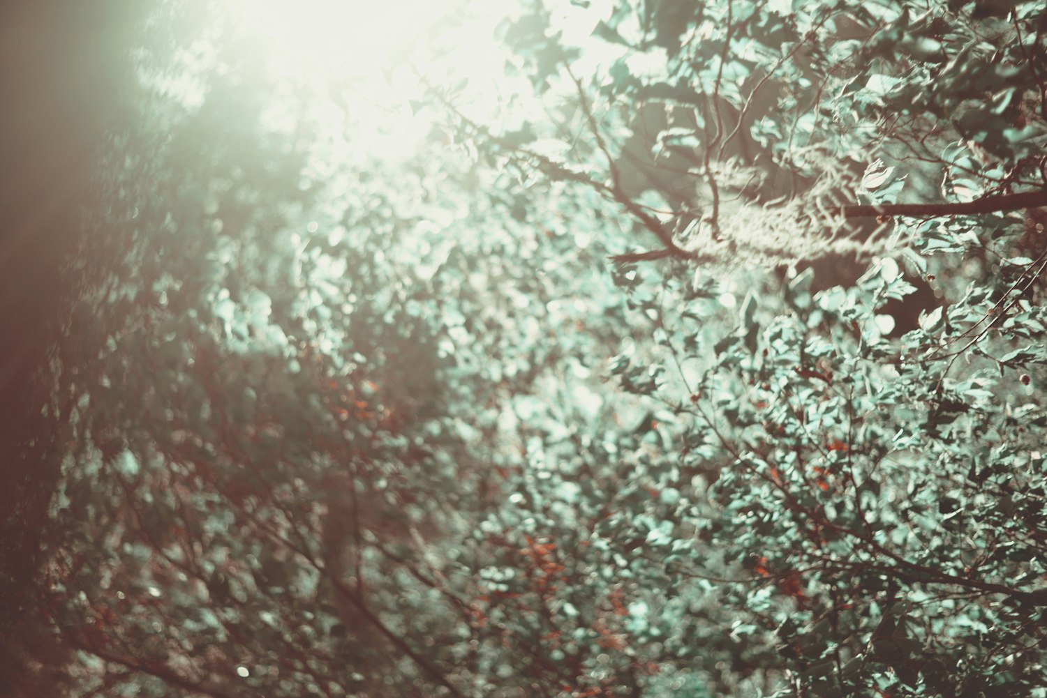 电影资讯速递,探索影视前沿,洞悉行业动态