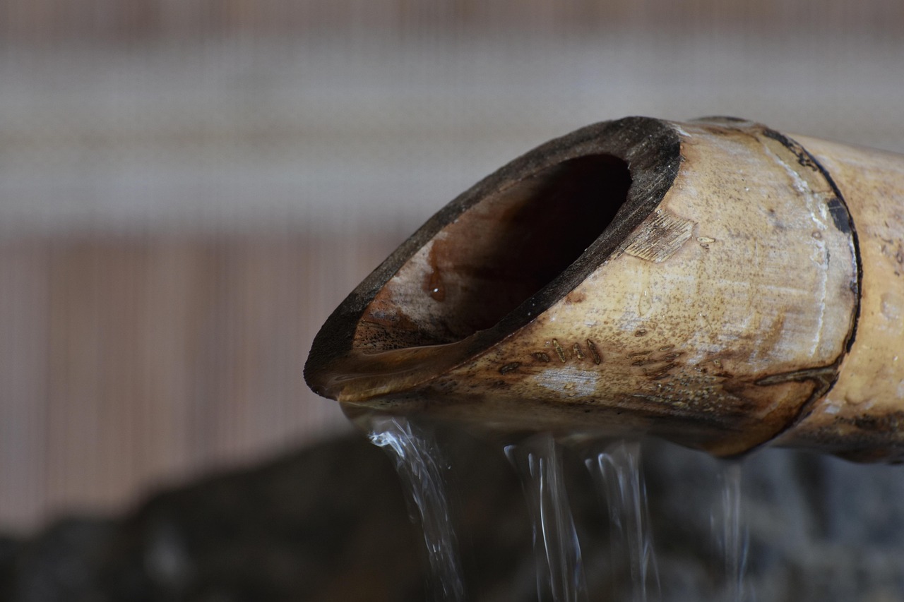 洪江区最新资讯概览,最新动态一网打尽