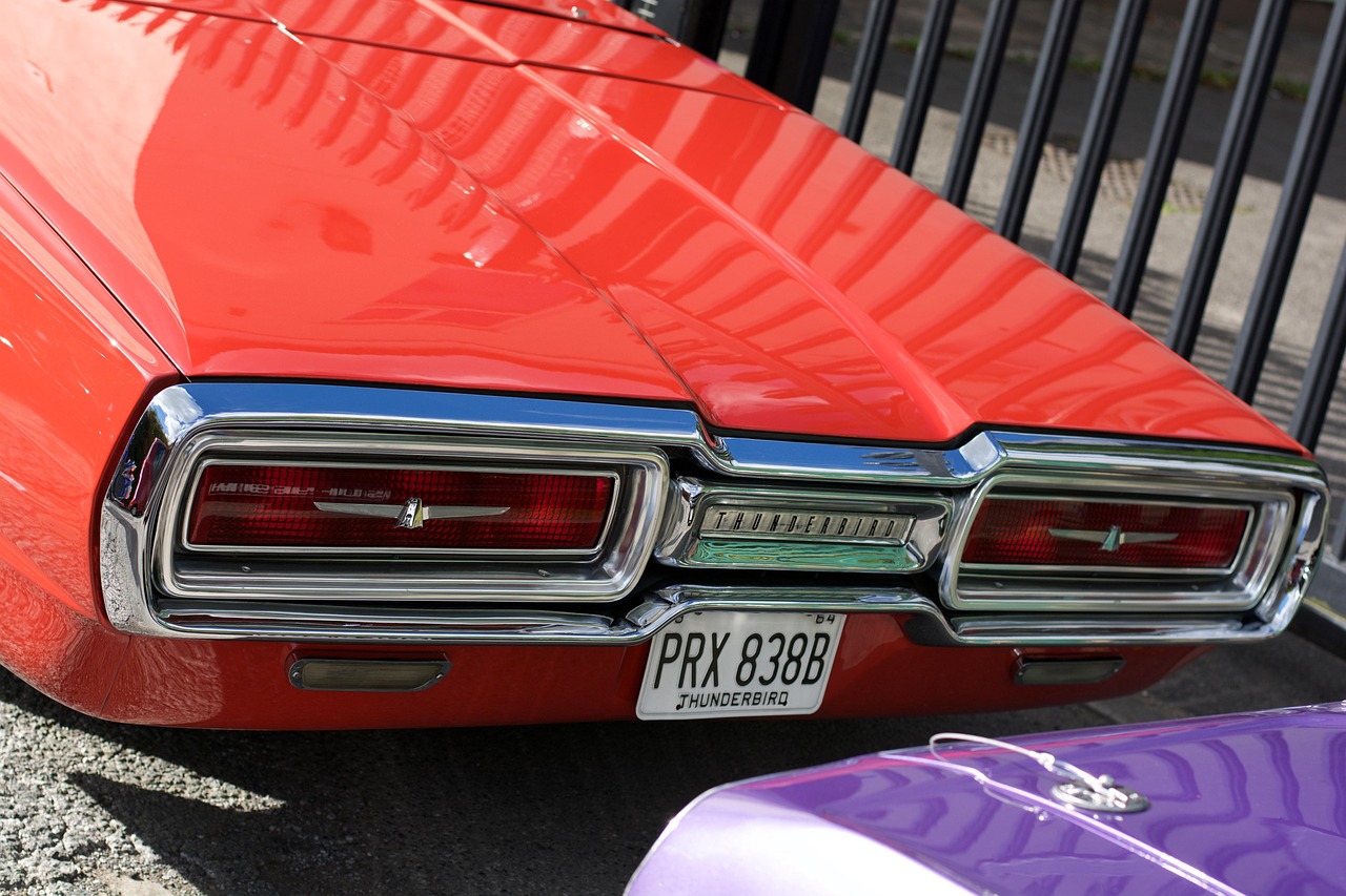 撒娇鬼最新动态揭秘,重新定义现代撒娇文化