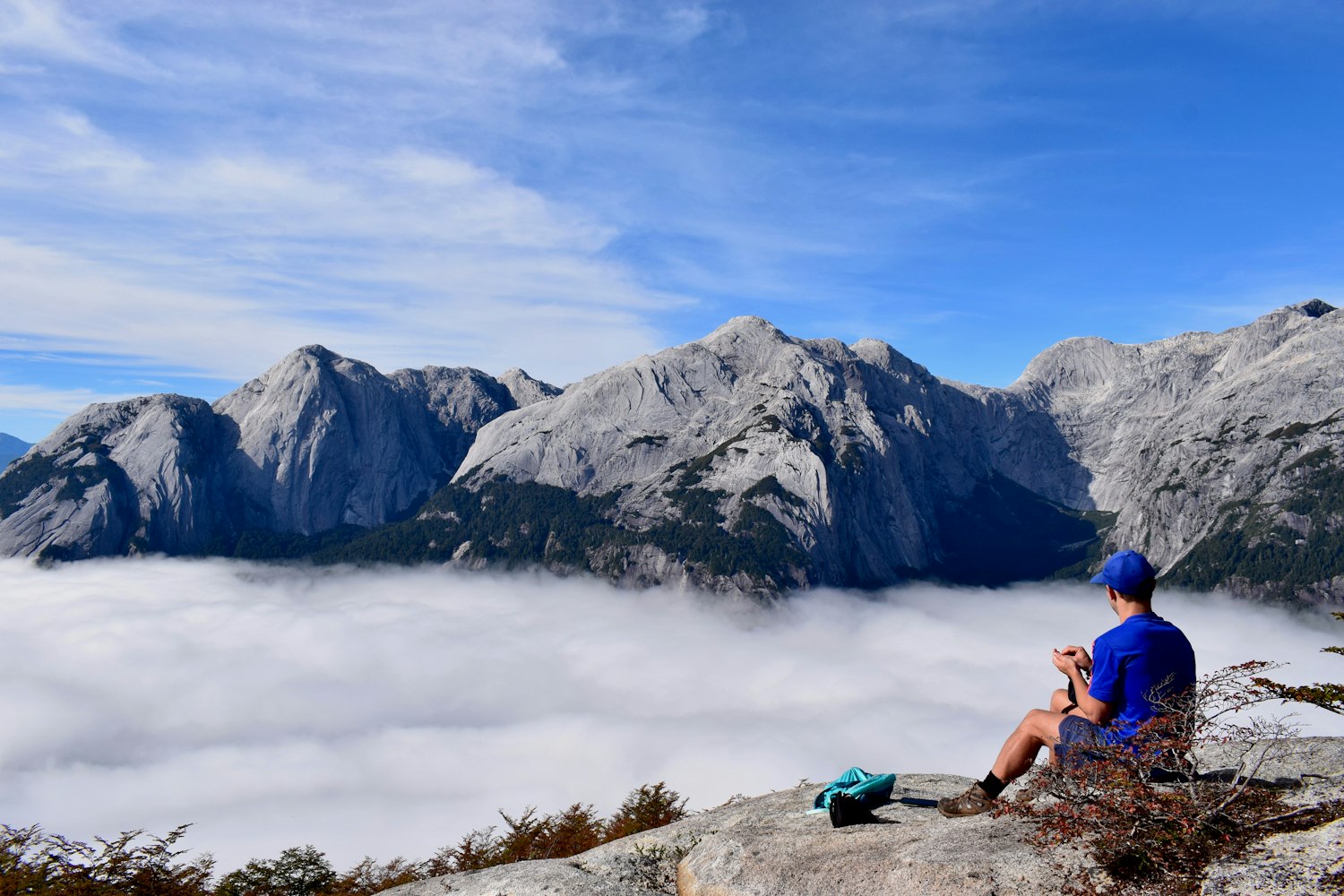 草社区最新动态探索,2016年的变迁与发展概览
