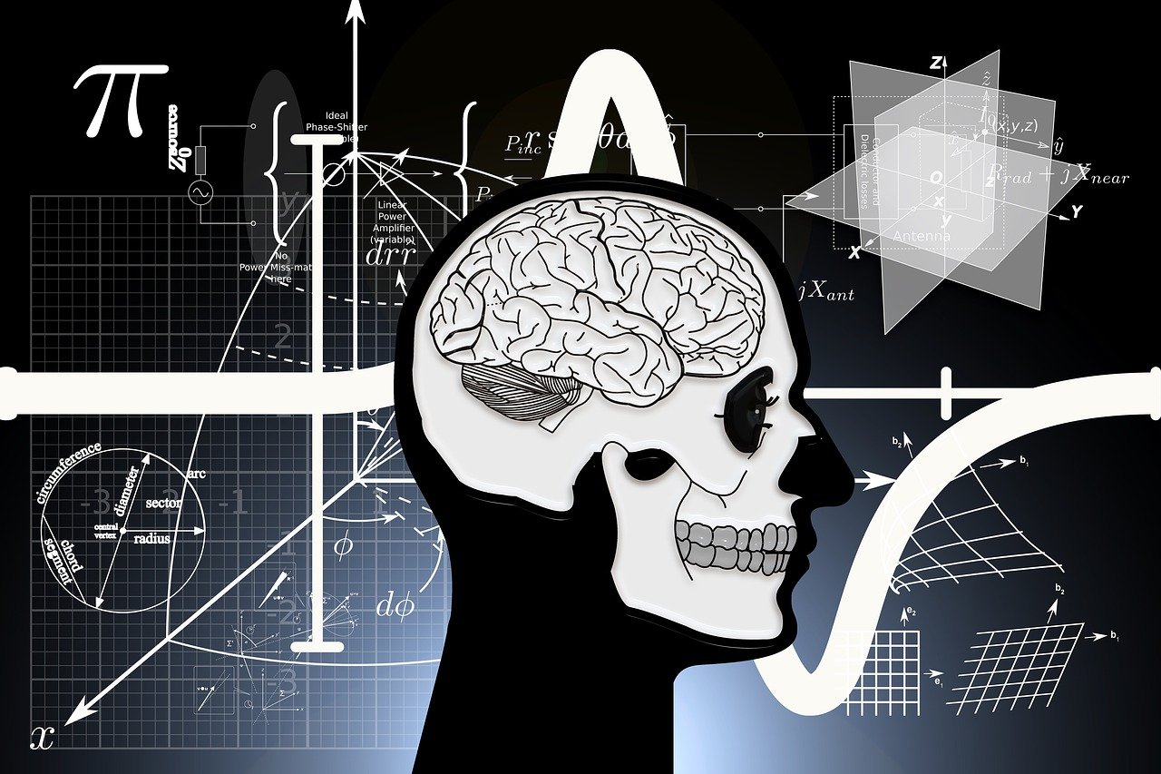 尸体派对动漫的恐怖魅力与在线观看体验