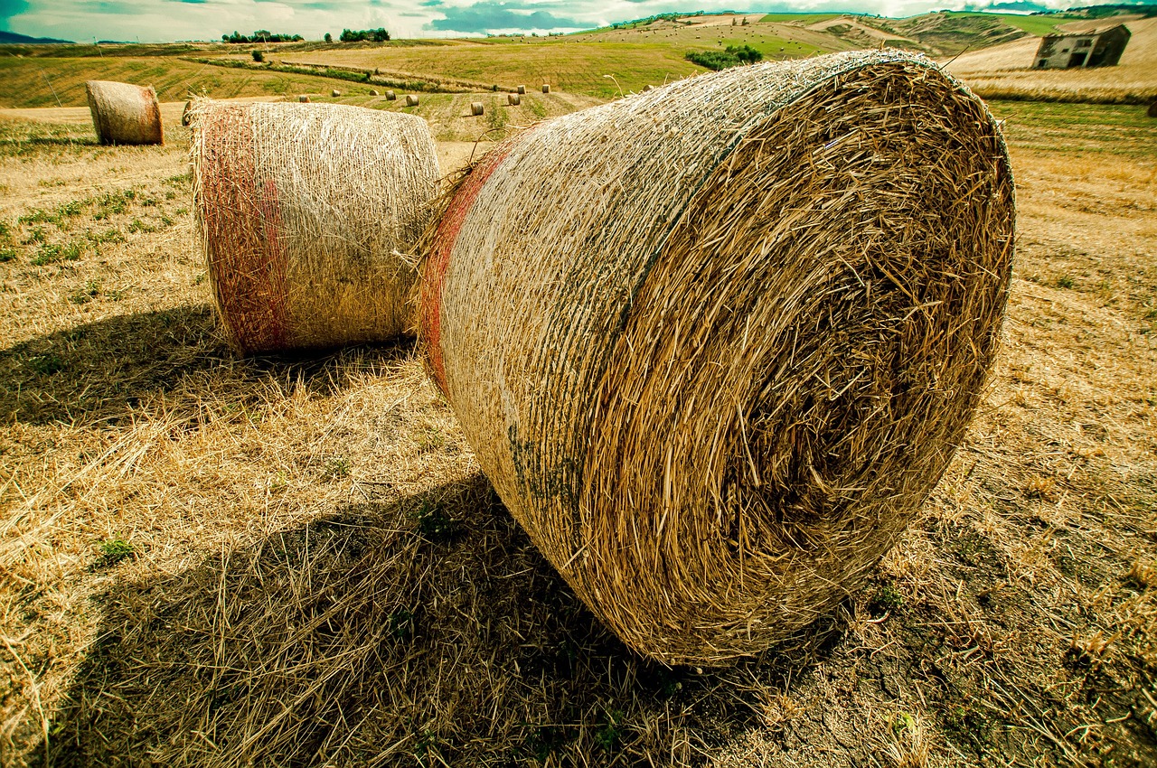 汇滋力奶粉最新动态,引领行业变革,塑造品质未来之路