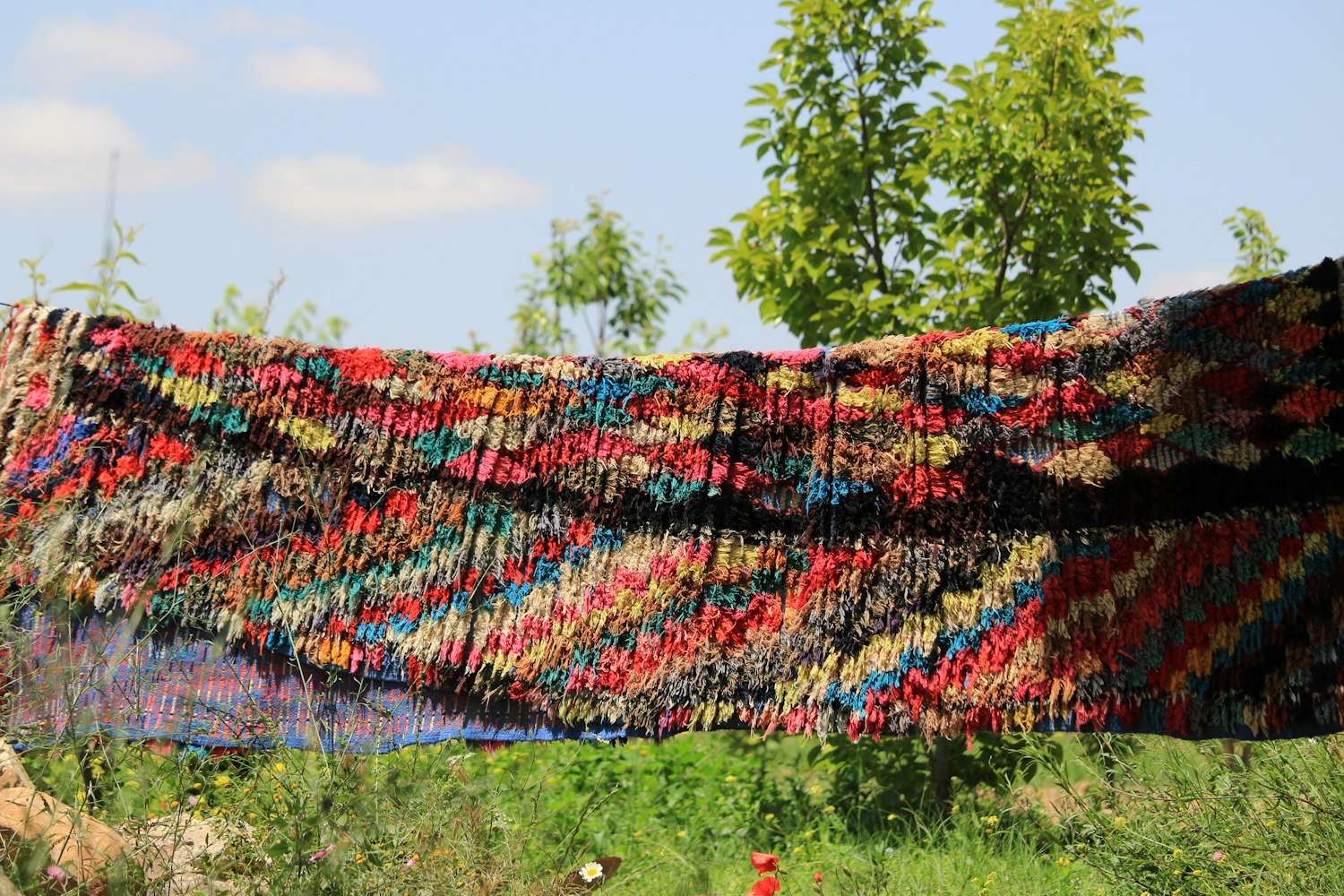 城市绿化与文化共融,城花绽放新篇章的美丽画卷