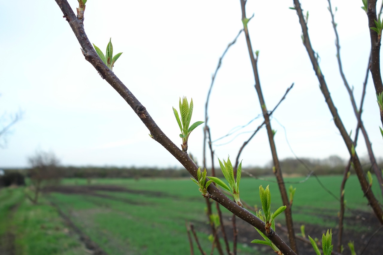 兰州港务区蓬勃发展助力区域经济增长的最新动态