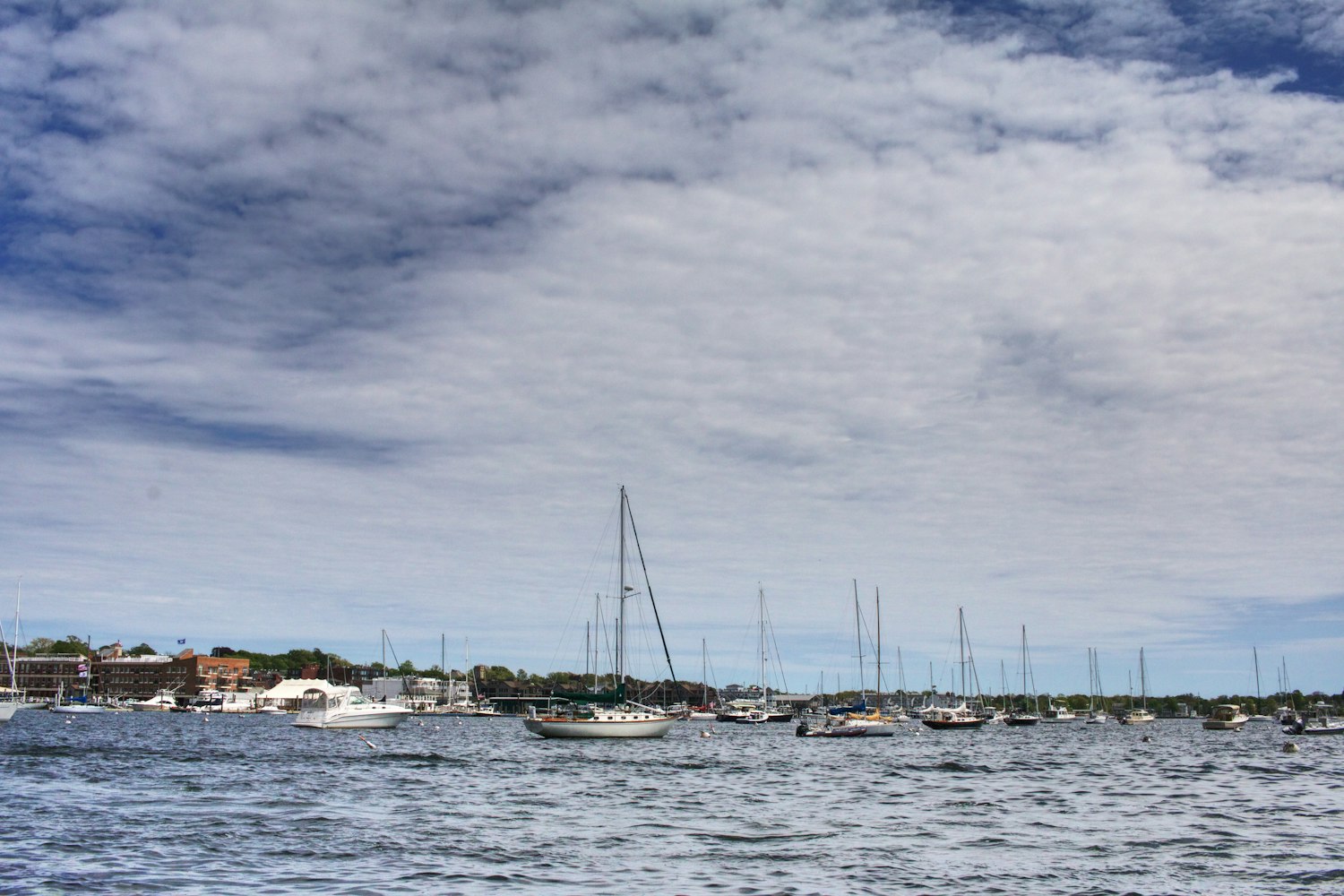 漓江一日游船票价格全解析