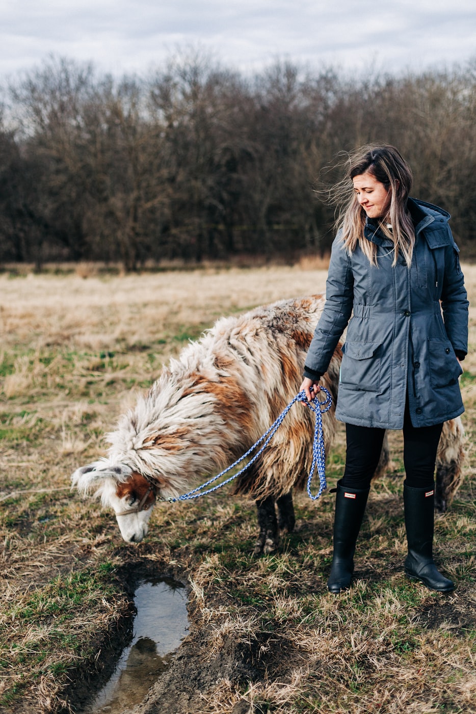 中蓝鲸引领海洋科技,开启蓝色未来最新动态