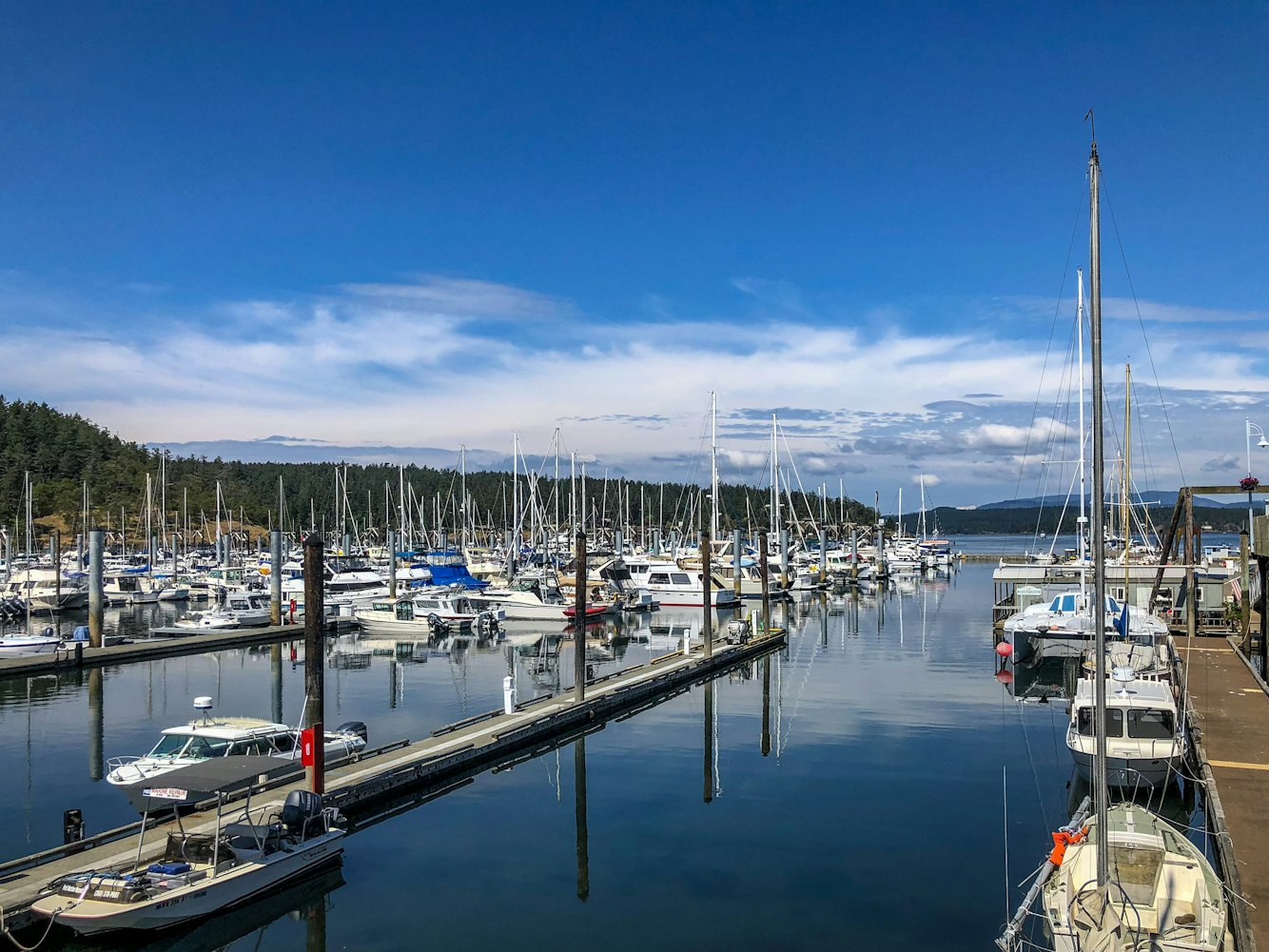 中国船舶股票行情深度解析与展望