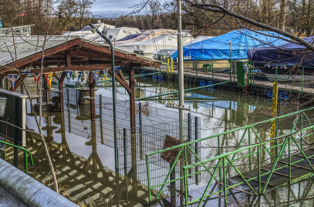 韩国最新资讯概览,时事动态一网打尽