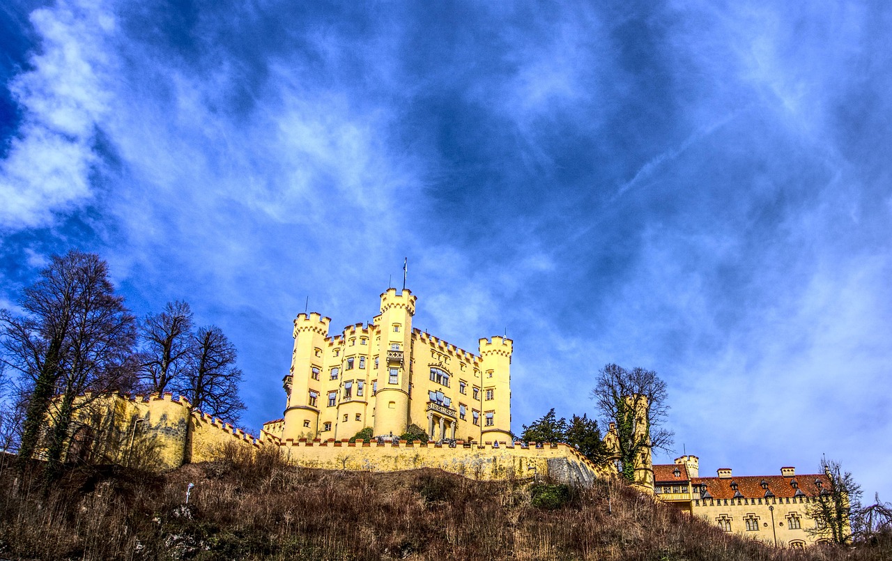 最新暴雨台风动态,影响及应对措施详解