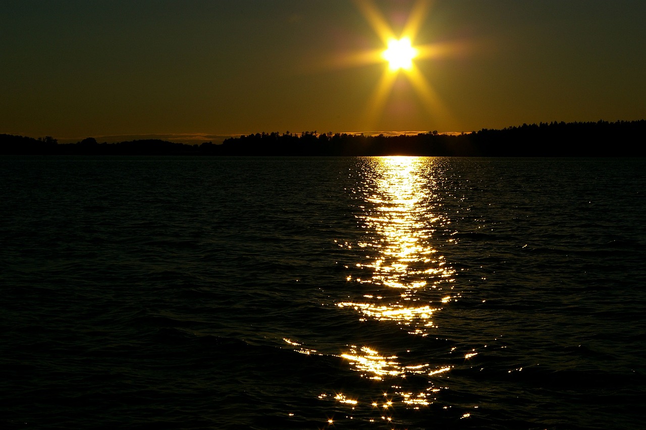 今日慈星股份股市行情深度解析,动态分析与市场走势探讨