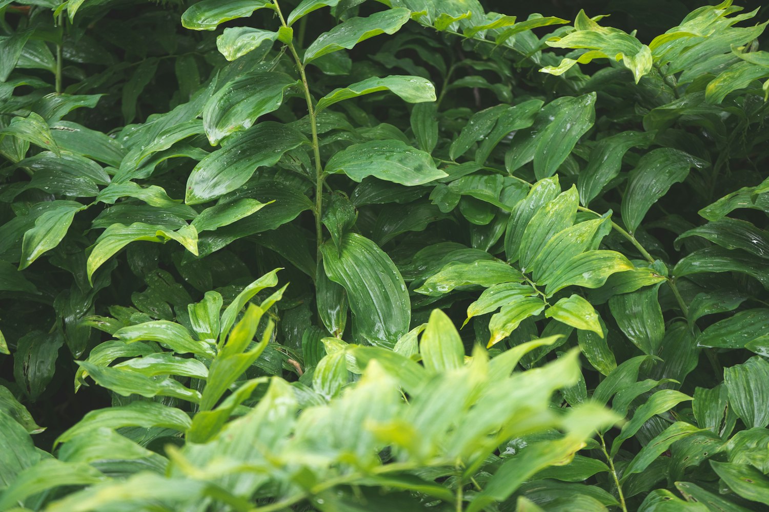 枭谷学园最新资讯,探索学府新动态,领略独特风采