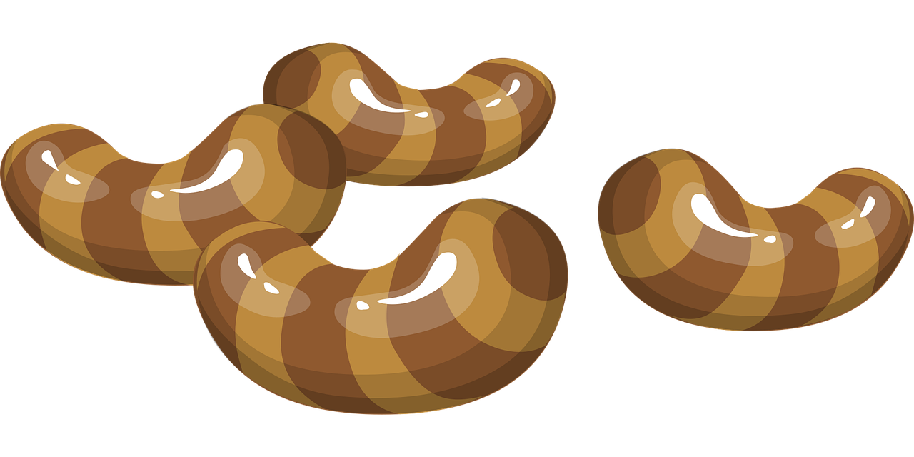 美豆价格动态及其对全球市场的影响分析