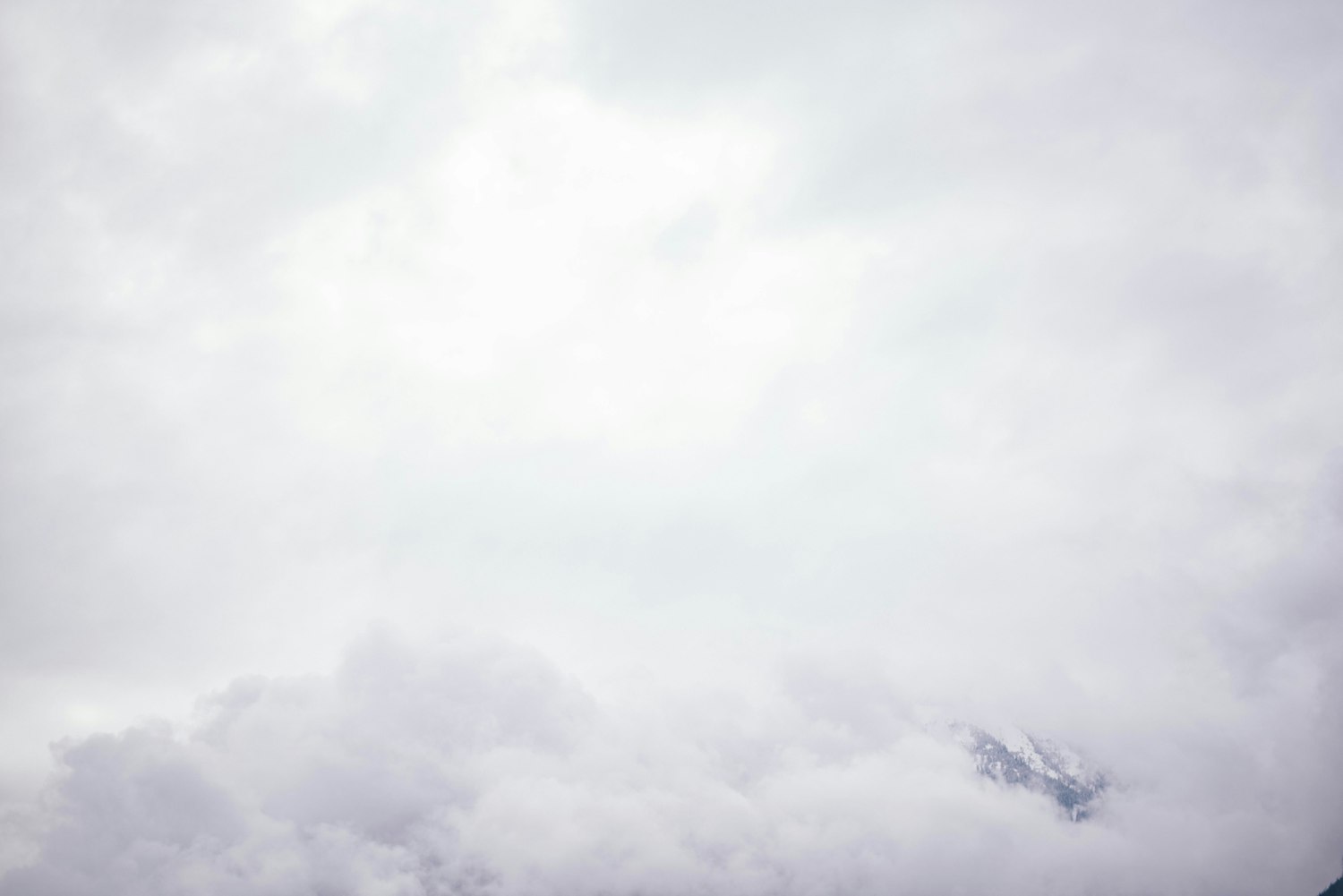 永济苗鑫集资动态，深度探究与解析