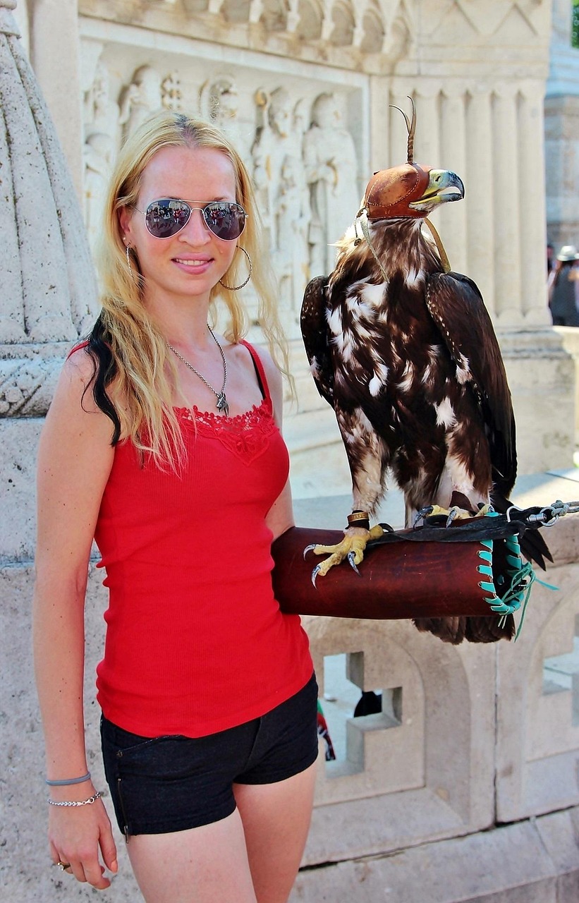 法国最新疫情动态,挑战与应对策略解析