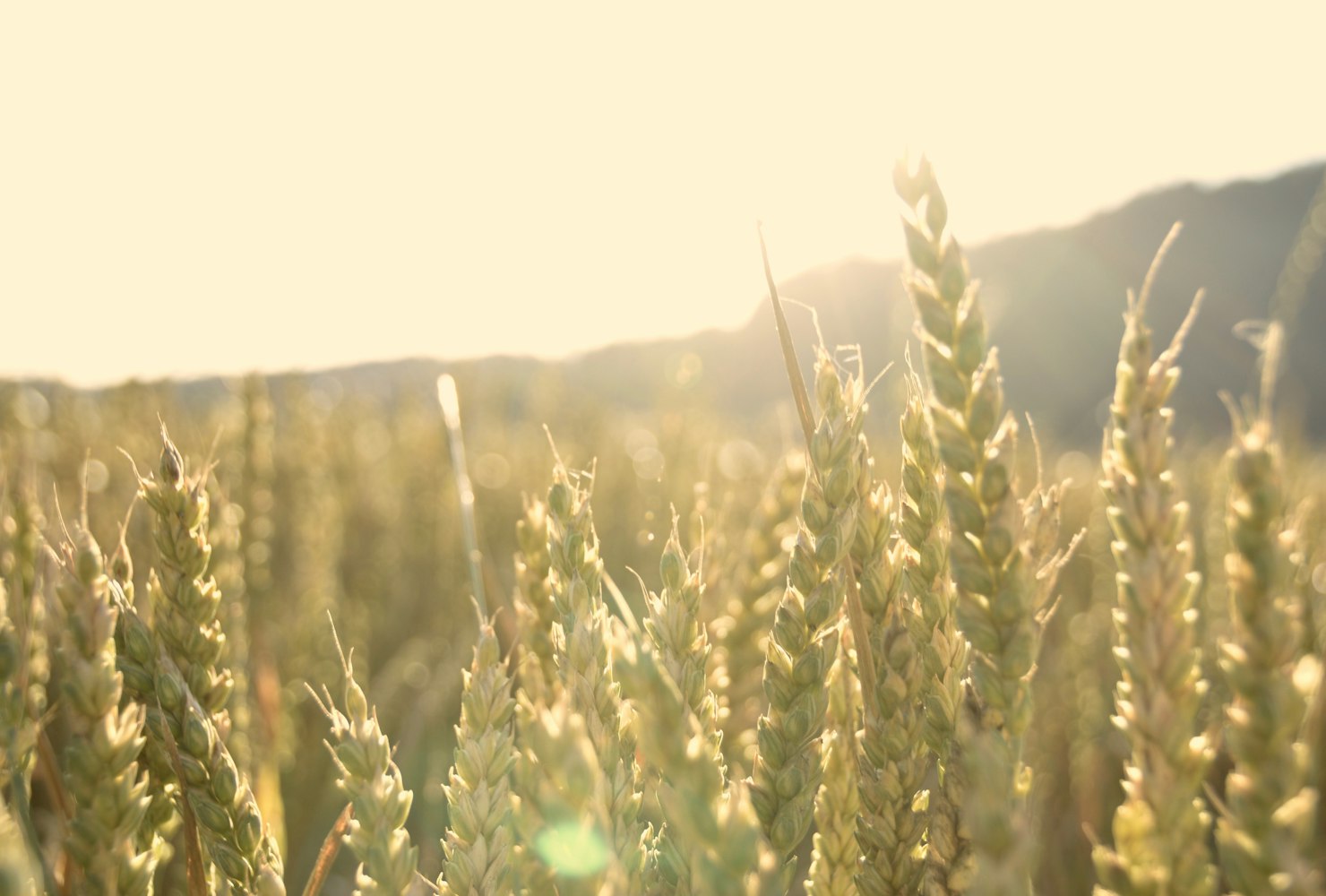 最新暖心文案,温暖的力量,点亮生活的每个角落