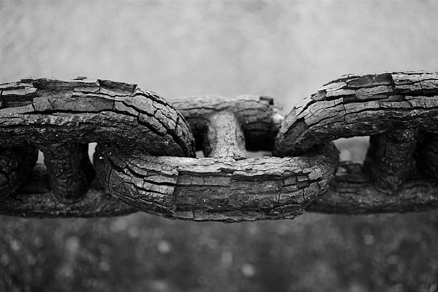 遂宁国开区人事任命动态,构建新时代的卓越团队为核心力量