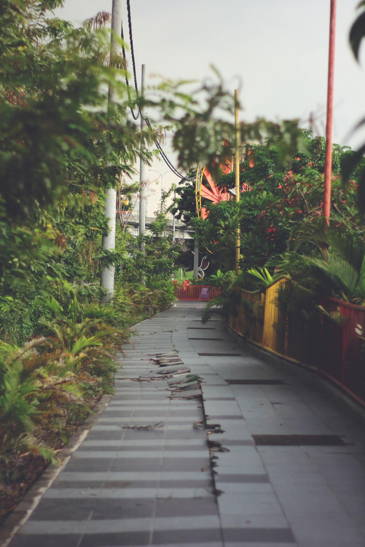 东方园林上市之路,探索企业成长与市场机遇