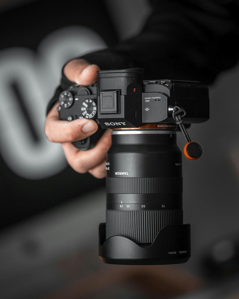 2025年12月 第37页