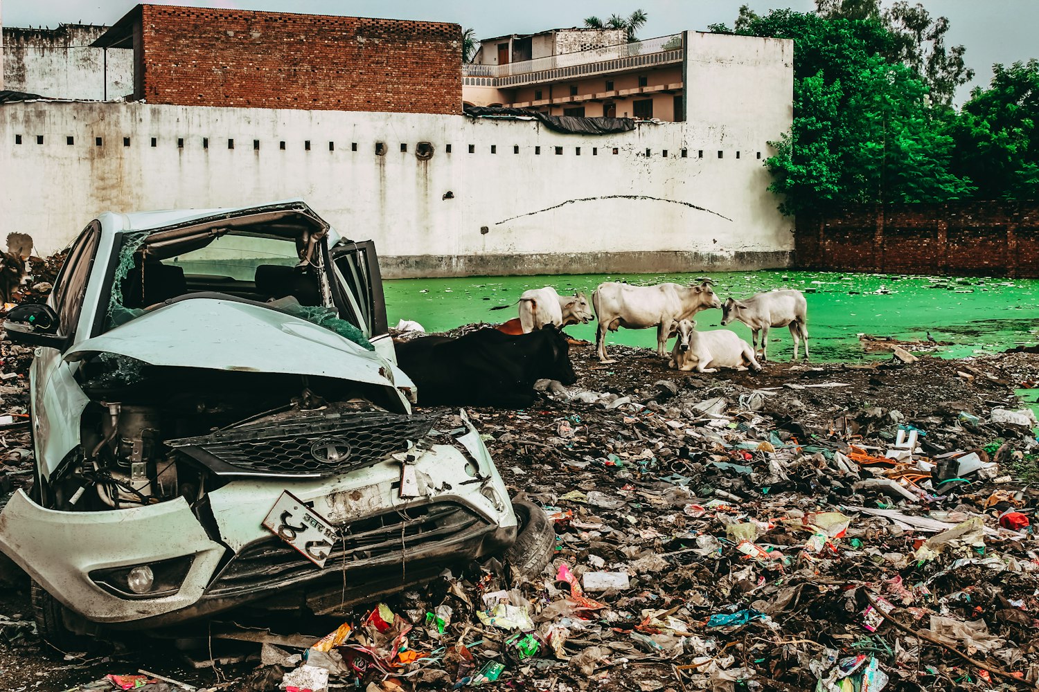 大城县限号最新通知,有效应对交通拥堵与环境污染的措施