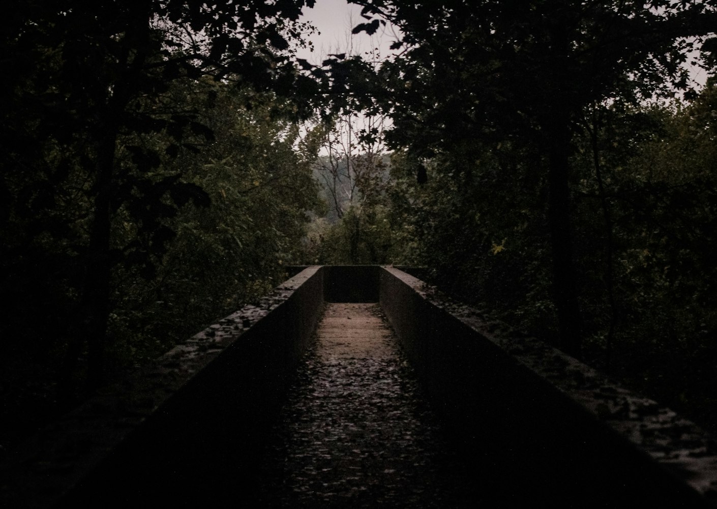 惊悚幻想之旅,深入恐怖动漫电影的交织世界