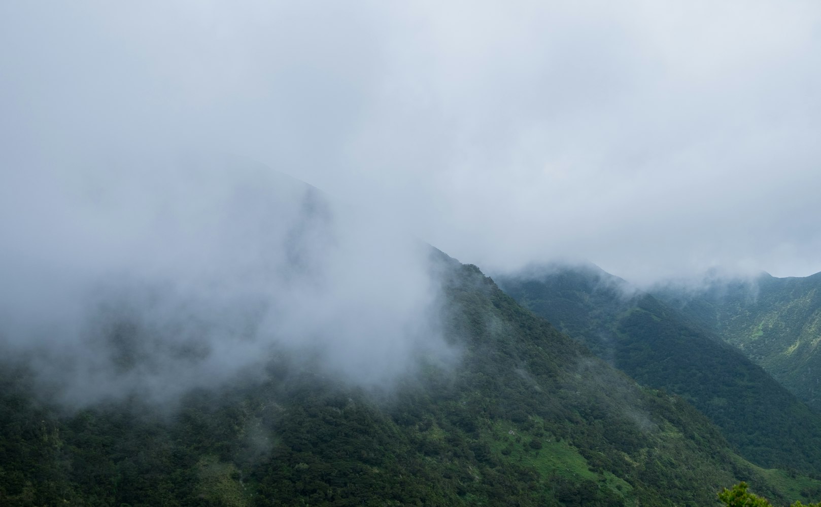 松果儿人体最新动态揭秘,探索人体科学的奥秘与前沿进展新发现
