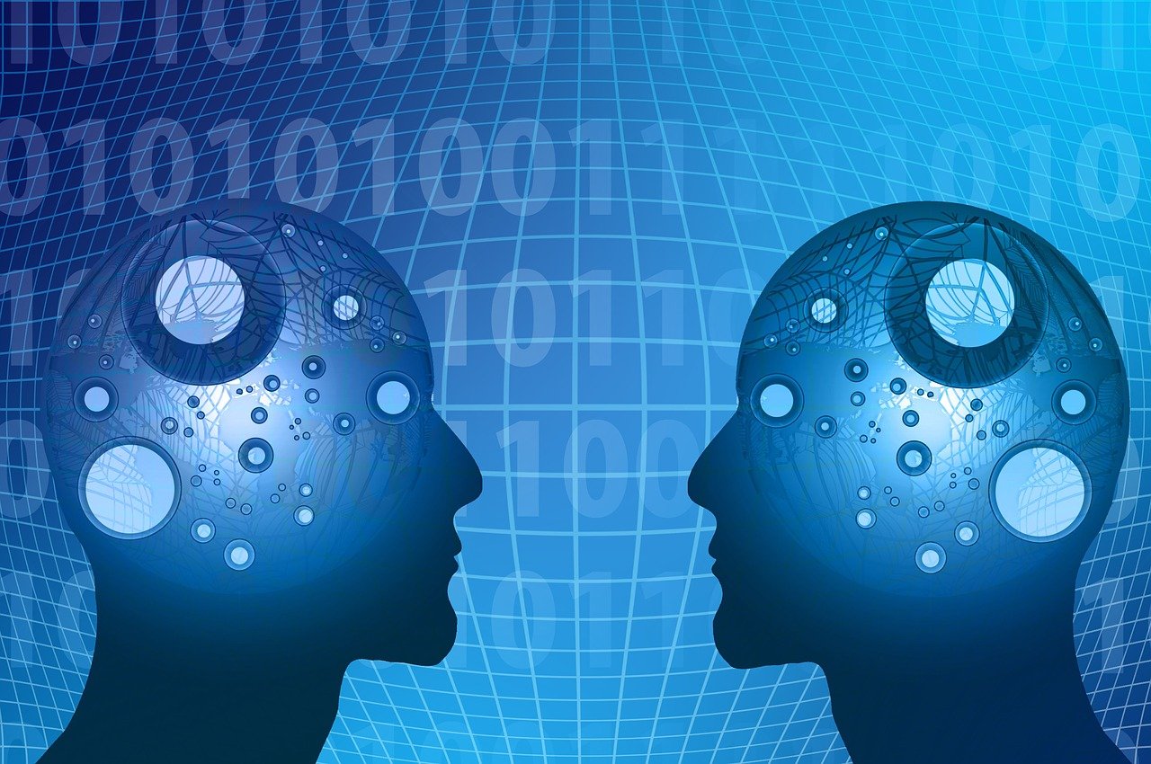 衡水福鼎园最新动态揭秘,展望未来,开启新篇章