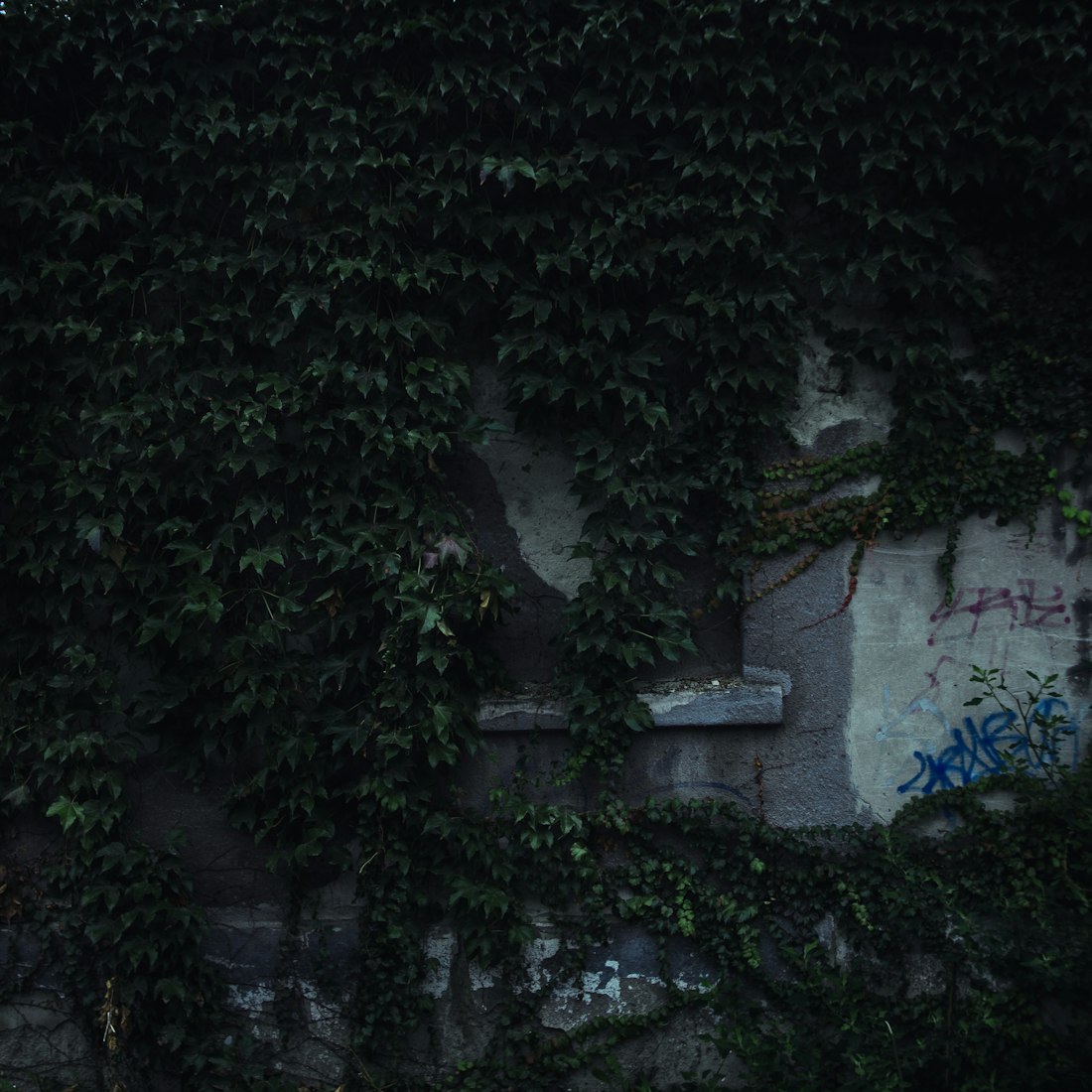 越南打野比赛,激情与技术的碰撞对决