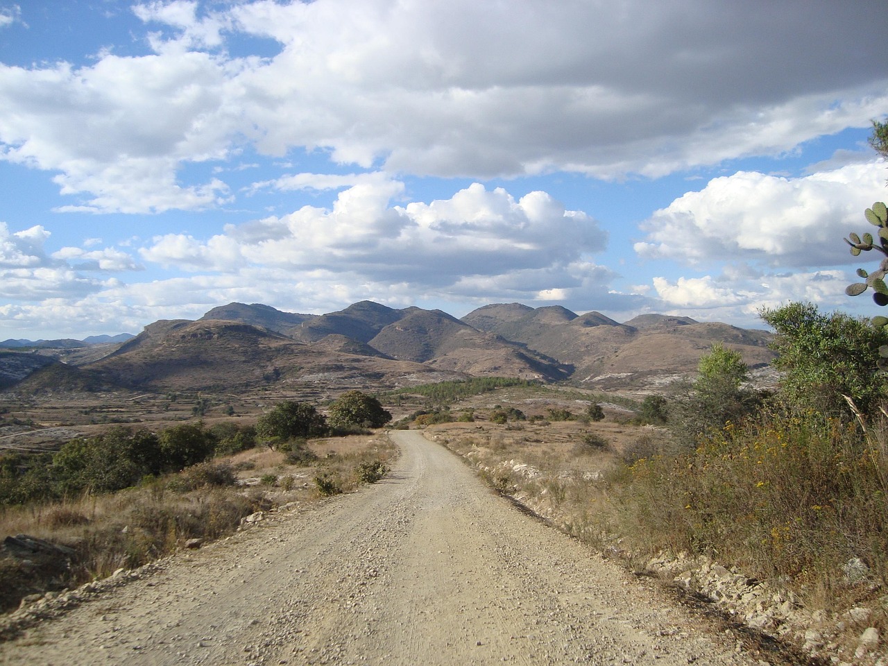 全球视野下的最新十三台风动态及路径影响分析