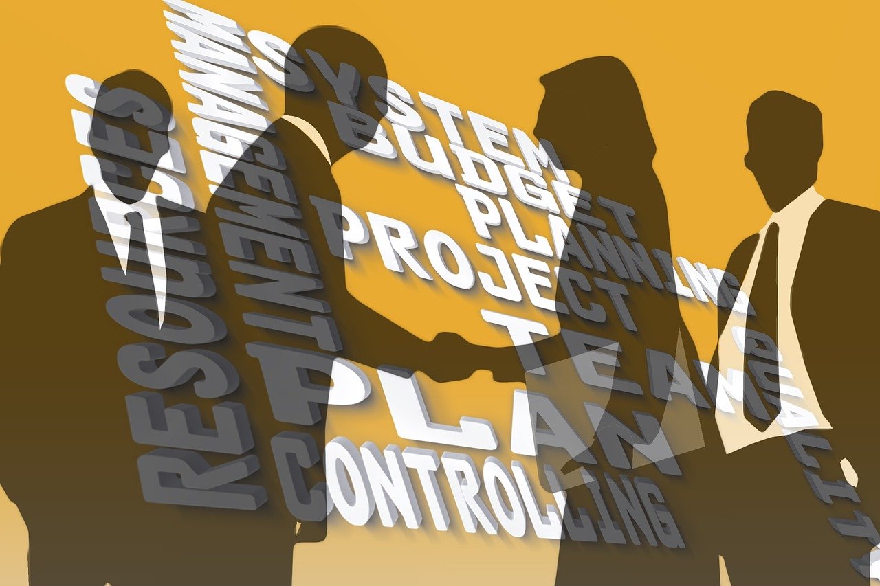 明星动画片,跨界合作的璀璨之星