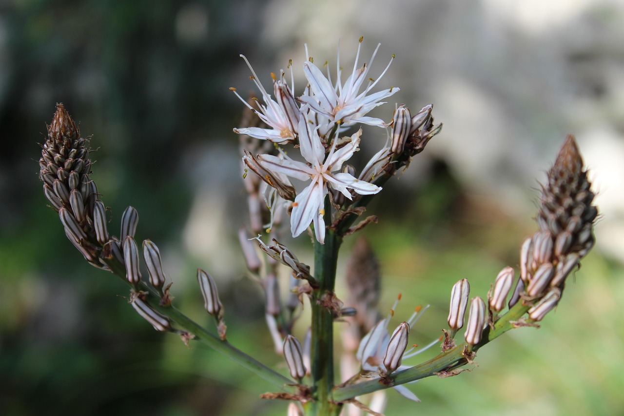 鞍钢贴吧最新动态全面解析与探讨