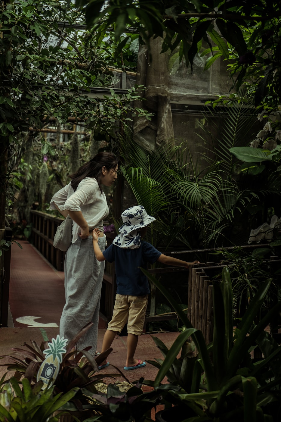 电影小唐璜情史,情感探索与人性展现的浪漫之旅