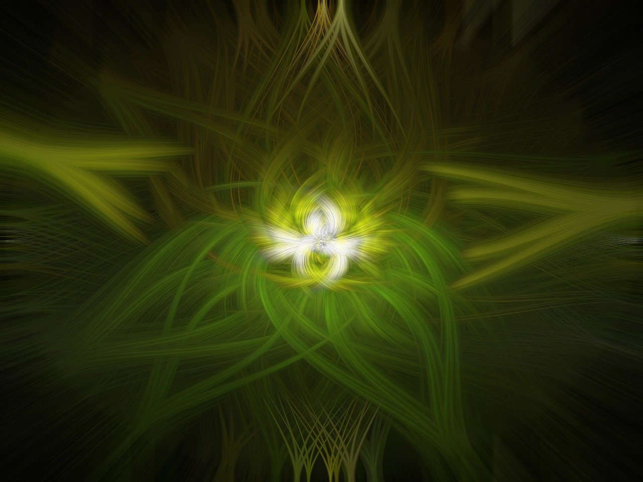 吕植最新动态,探索前沿,引领未来