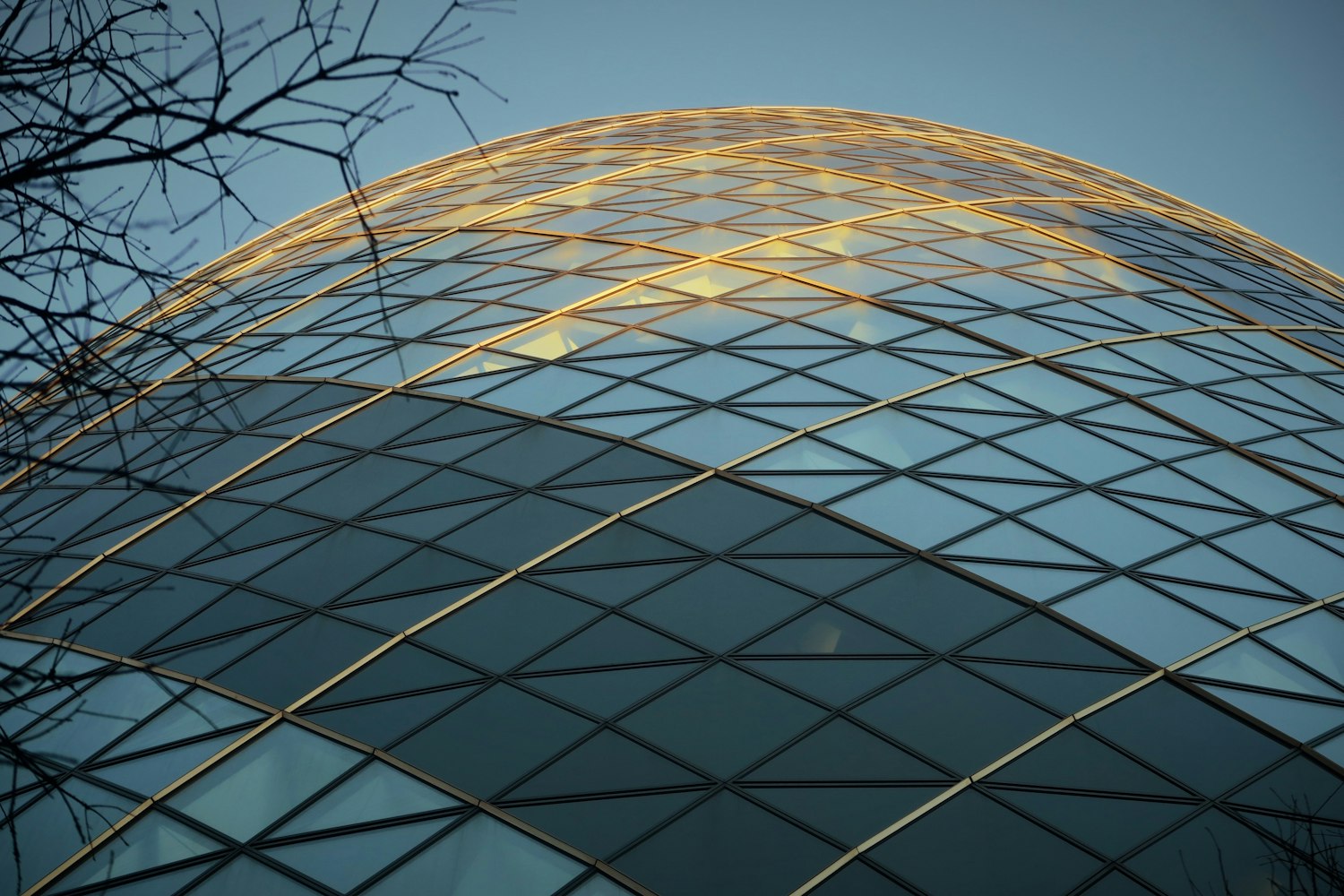 前沿科技成就展示,探索未来科技新领域,展现科技创新力量